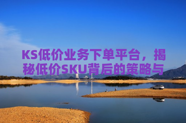 KS低价业务下单平台，揭秘低价SKU背后的策略与风险