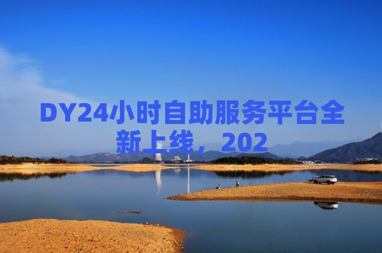 DY24小时自助服务平台全新上线，2025必学技能，随时随地享受便捷服务！