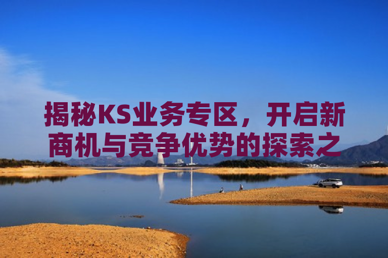 揭秘KS业务专区，开启新商机与竞争优势的探索之旅