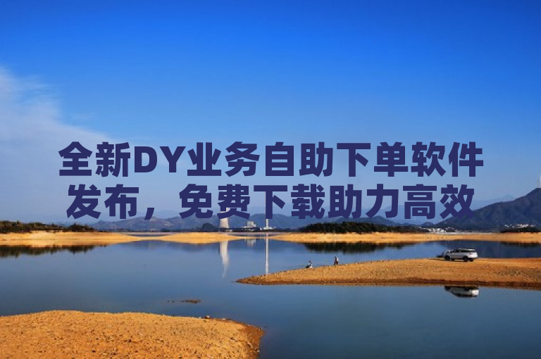 全新DY业务自助下单软件发布，免费下载助力高效运营！