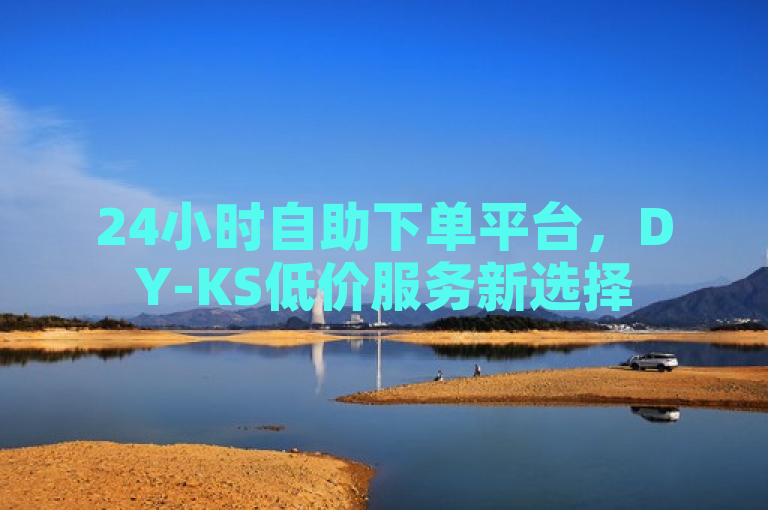 24小时自助下单平台，DY-KS低价服务新选择