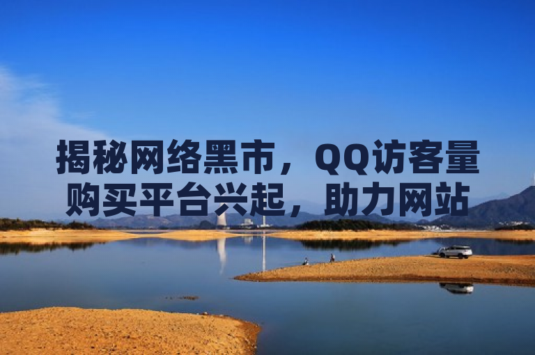 揭秘网络黑市，QQ访客量购买平台兴起，助力网站流量虚假繁荣