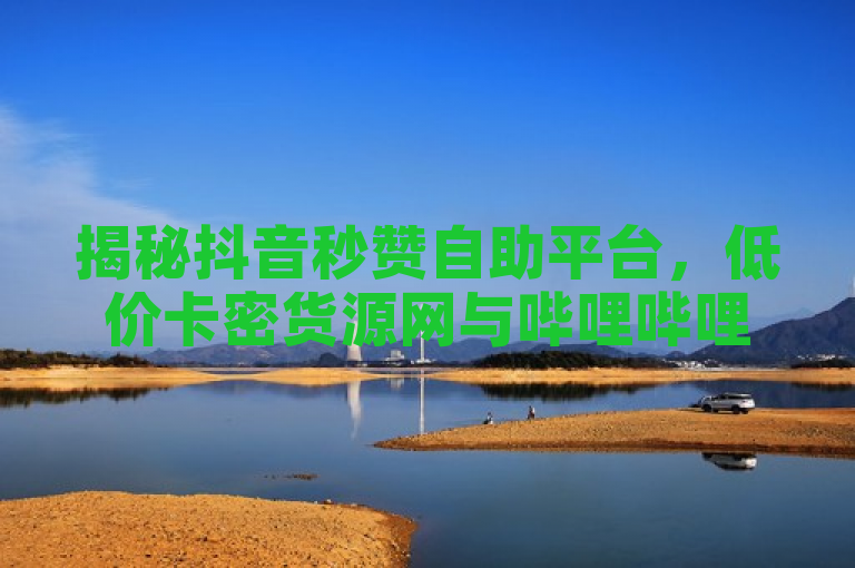 揭秘抖音秒赞自助平台，低价卡密货源网与哔哩哔哩业务自助平台全网最低价大公开！