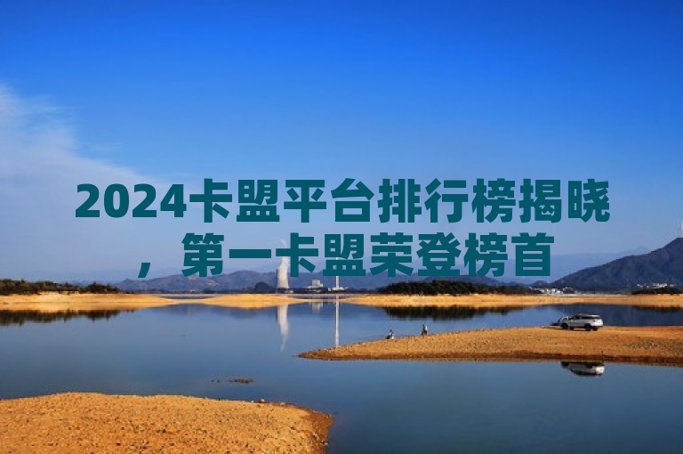 2024卡盟平台排行榜揭晓，第一卡盟荣登榜首