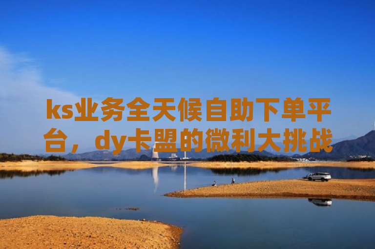 ks业务全天候自助下单平台，dy卡盟的微利大挑战