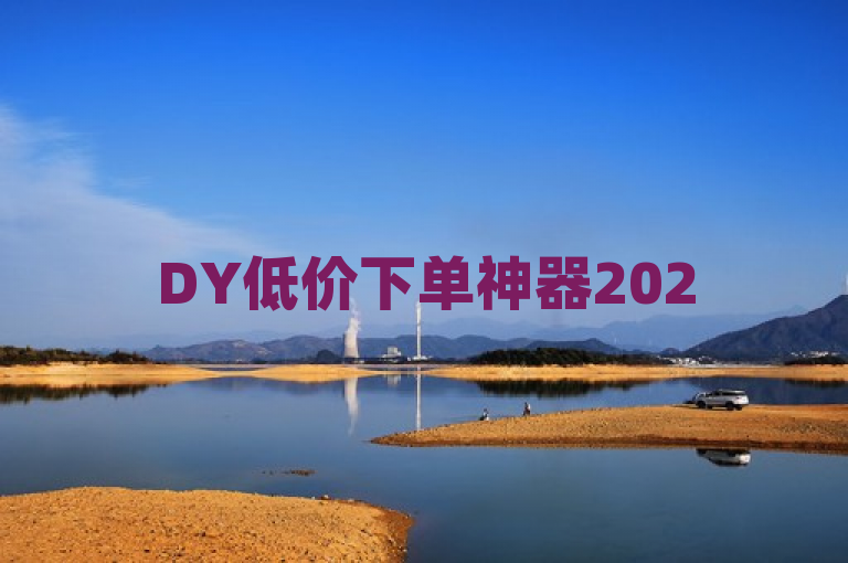 DY低价下单神器2025震撼发布，超值优惠引爆购物狂潮！