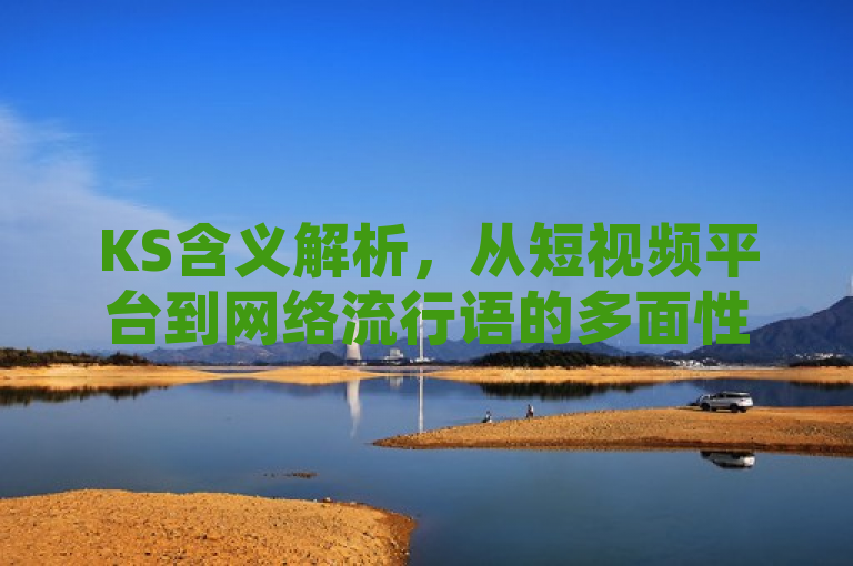 KS含义解析，从短视频平台到网络流行语的多面性