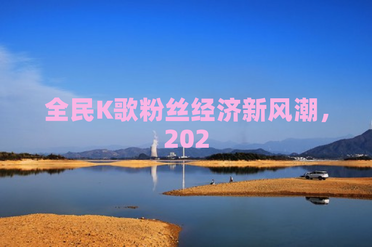 全民K歌粉丝经济新风潮，2025年必学的商业策略揭秘