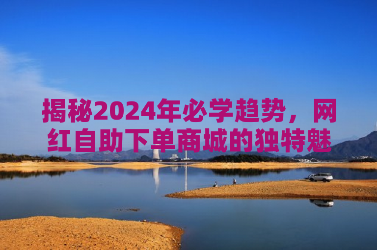 揭秘2024年必学趋势，网红自助下单商城的独特魅力