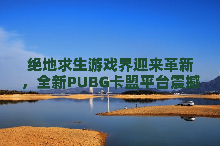 绝地求生游戏界迎来革新，全新PUBG卡盟平台震撼登场！