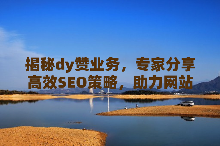 揭秘dy赞业务，专家分享高效SEO策略，助力网站排名与流量提升