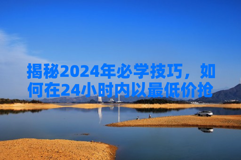 揭秘2024年必学技巧，如何在24小时内以最低价抢购KS业务下单服务！