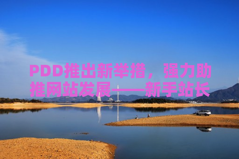 PDD推出新举措，强力助推网站发展——新手站长的福音！