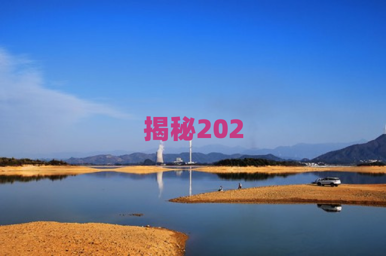 揭秘2025必学趋势，点赞下单自主平台带来全新互动体验！