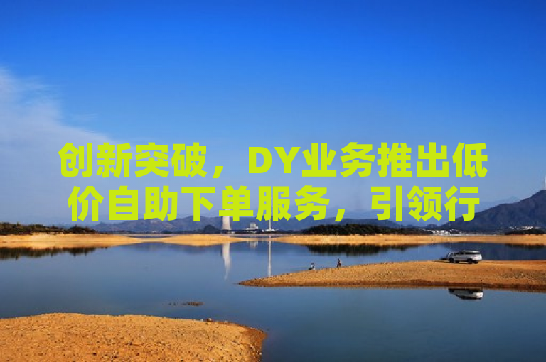 创新突破，DY业务推出低价自助下单服务，引领行业新风尚