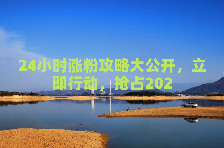 24小时涨粉攻略大公开，立即行动，抢占2025年粉丝增长先机！