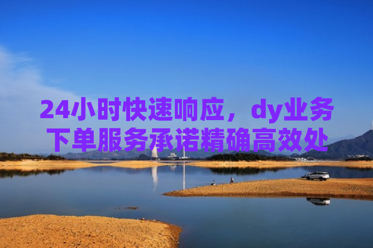 24小时快速响应，dy业务下单服务承诺精确高效处理