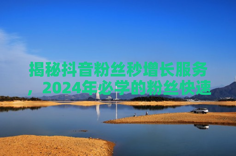 揭秘抖音粉丝秒增长服务，2024年必学的粉丝快速增长技巧！