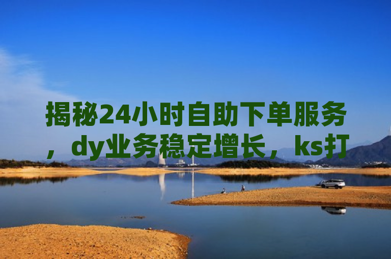 揭秘24小时自助下单服务，dy业务稳定增长，ks打call软件助力抖音互动