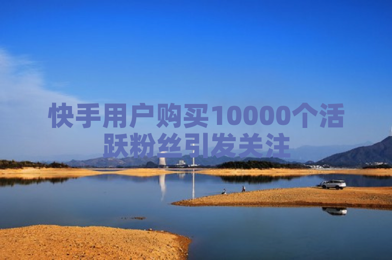 快手用户购买10000个活跃粉丝引发关注