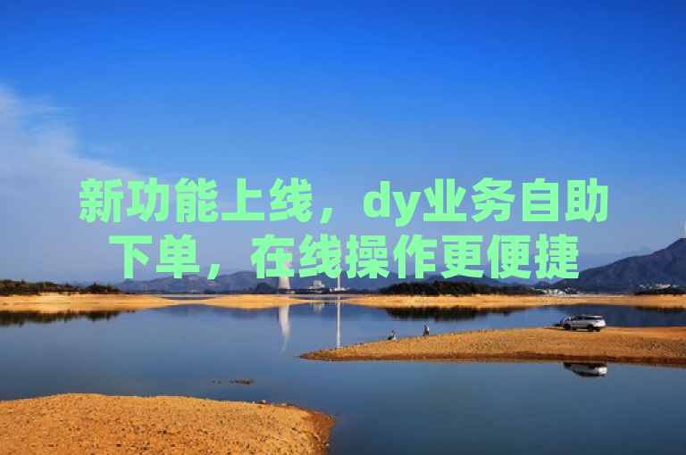 新功能上线，dy业务自助下单，在线操作更便捷