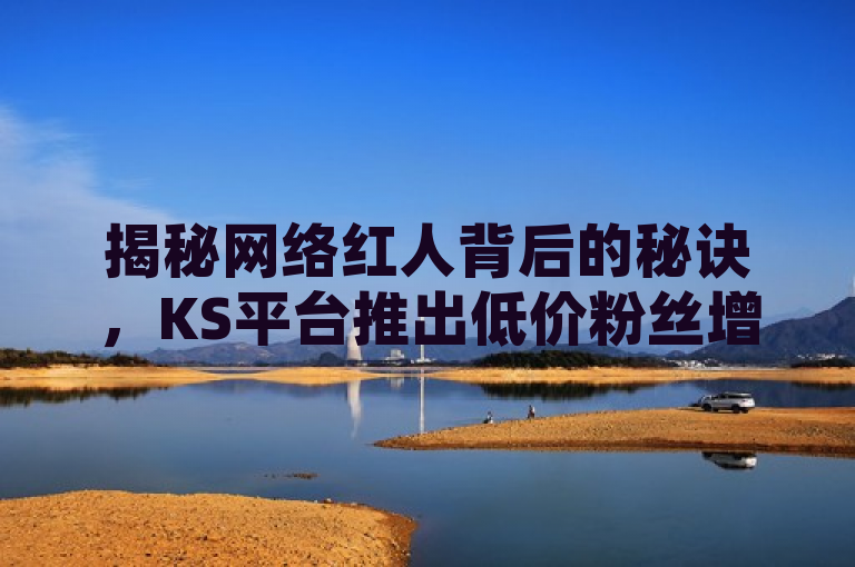 揭秘网络红人背后的秘诀，KS平台推出低价粉丝增长服务