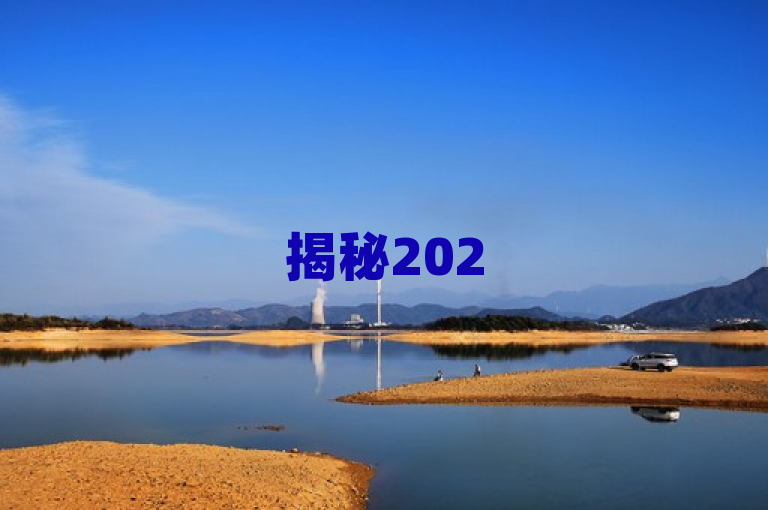 揭秘2025年必学，全网下单平台为何成为最佳选择？