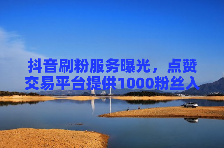 抖音刷粉服务曝光，点赞交易平台提供1000粉丝入口