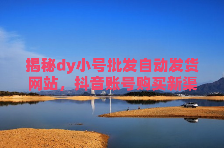 揭秘dy小号批发自动发货网站，抖音账号购买新渠道，便捷高效成亮点