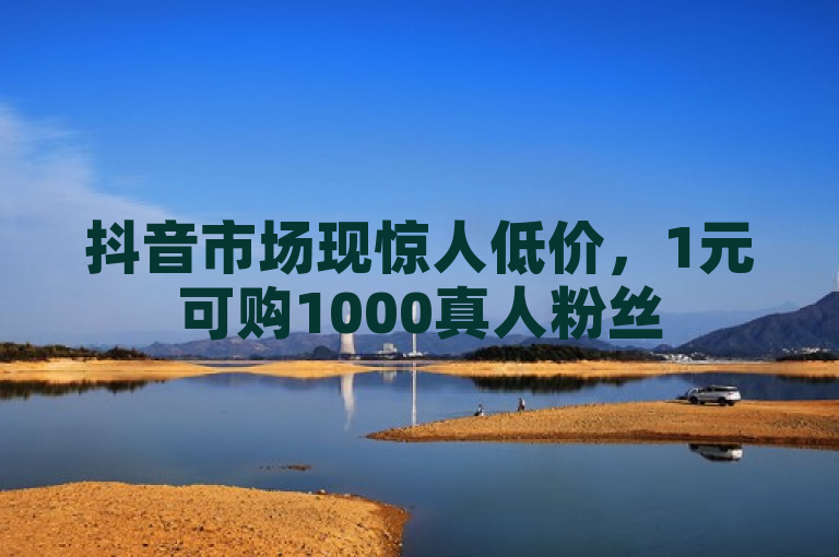 抖音市场现惊人低价，1元可购1000真人粉丝