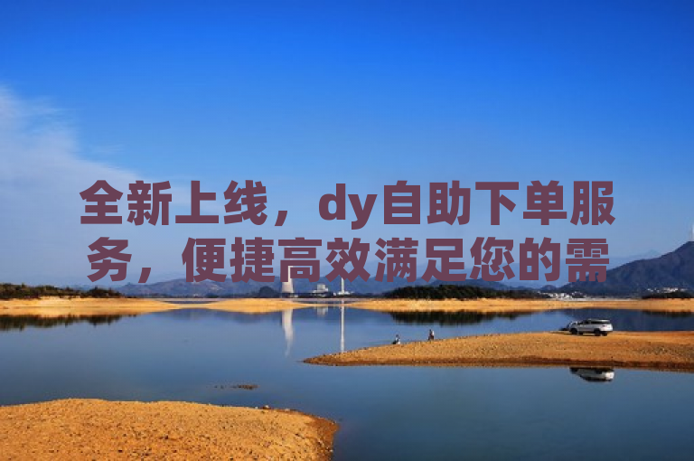 全新上线，dy自助下单服务，便捷高效满足您的需求！