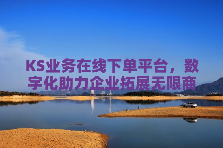 KS业务在线下单平台，数字化助力企业拓展无限商机