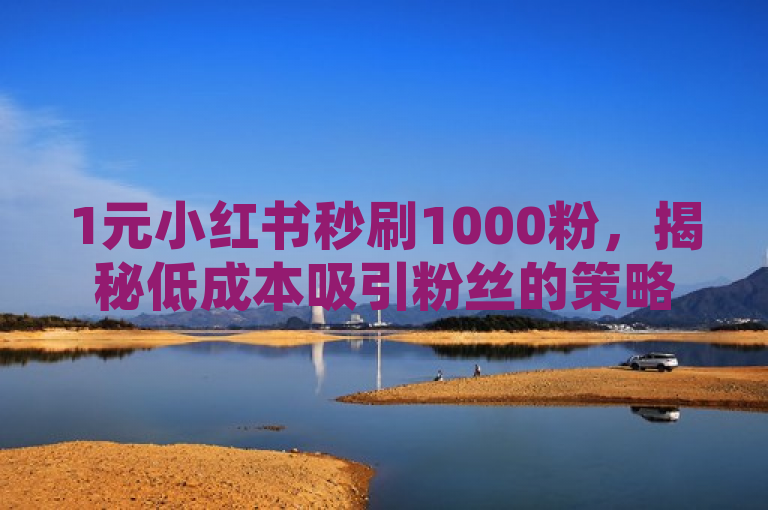 1元小红书秒刷1000粉，揭秘低成本吸引粉丝的策略