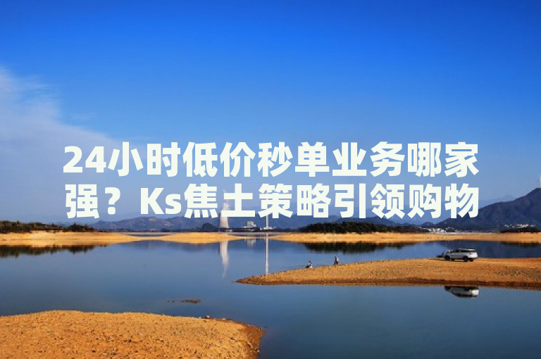 24小时低价秒单业务哪家强？Ks焦土策略引领购物新潮流