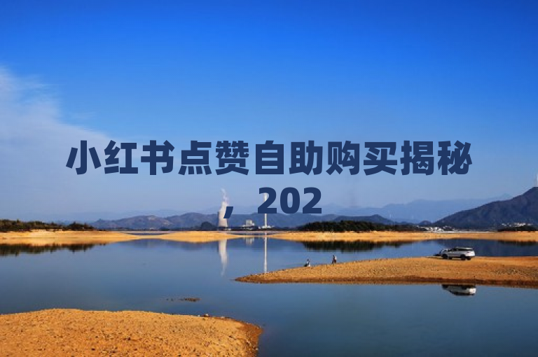 小红书点赞自助购买揭秘，2025年必学营销策略