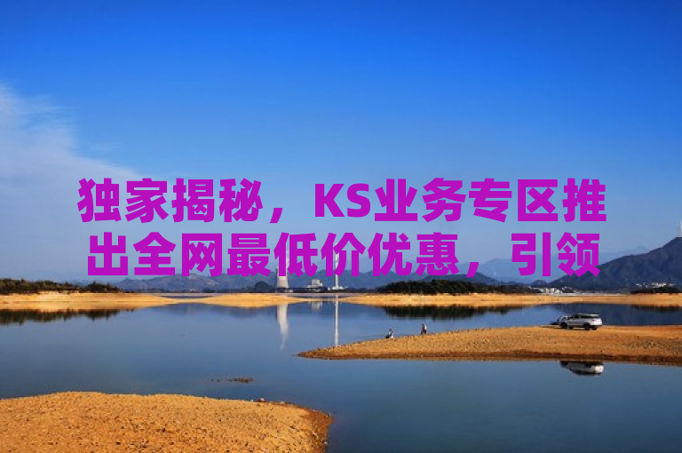 独家揭秘，KS业务专区推出全网最低价优惠，引领行业新潮流！