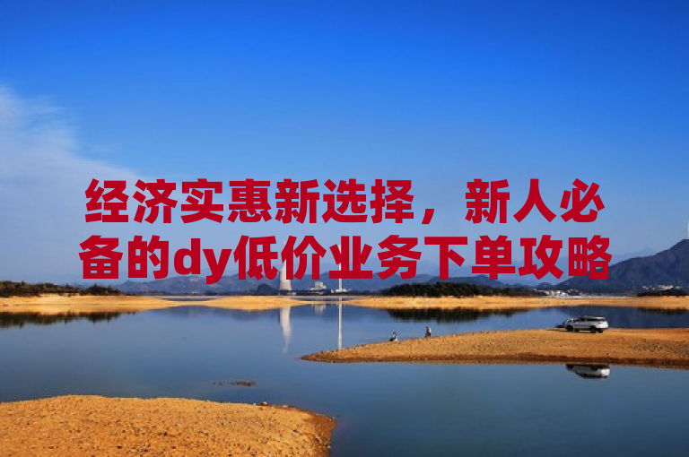 经济实惠新选择，新人必备的dy低价业务下单攻略！