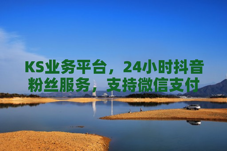 KS业务平台，24小时抖音粉丝服务，支持微信支付，简洁明了地概括了原文的主要内容，即KS业务平台提供全天候的抖音粉丝增长服务，并且支持微信支付方式。这样的标题既突出了平台的便捷性和服务特色，又明确了其与抖音业务的关联以及支付方式的灵活性。