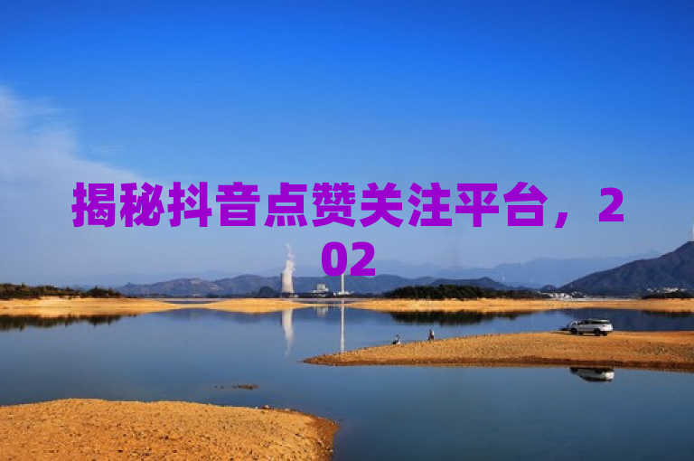 揭秘抖音点赞关注平台，2025年必备的社交媒体助力工具