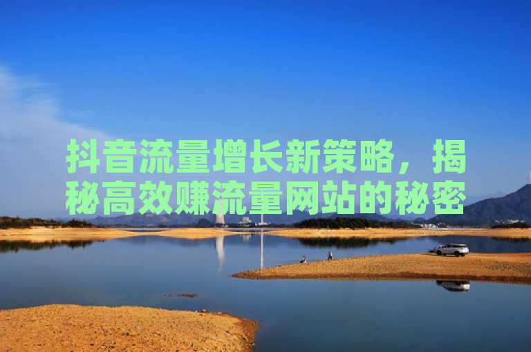 抖音流量增长新策略，揭秘高效赚流量网站的秘密