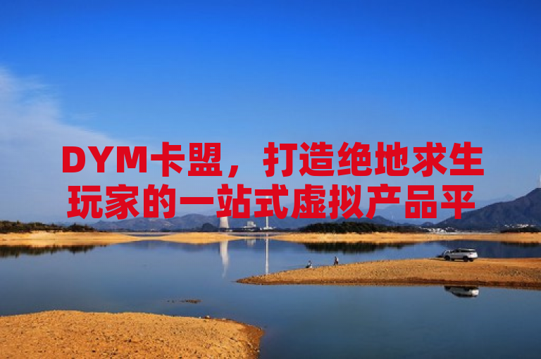 DYM卡盟，打造绝地求生玩家的一站式虚拟产品平台