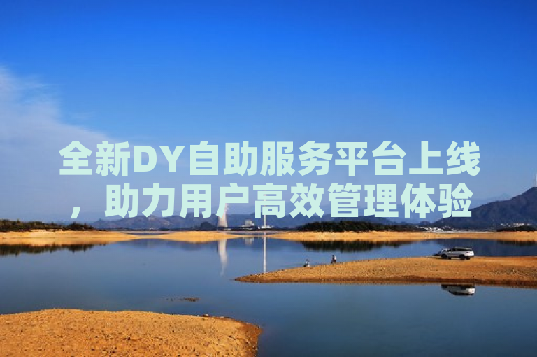 全新DY自助服务平台上线，助力用户高效管理体验