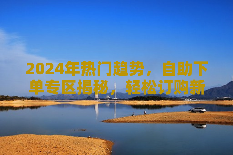 2024年热门趋势，自助下单专区揭秘，轻松订购新体验！