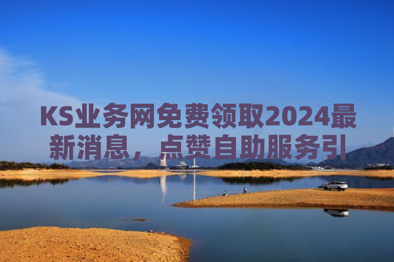 KS业务网免费领取2024最新消息，点赞自助服务引爆网络！