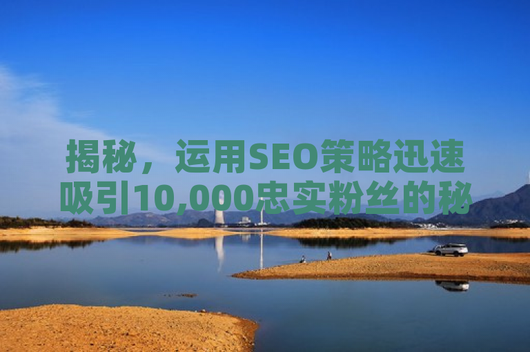 揭秘，运用SEO策略迅速吸引10,000忠实粉丝的秘诀