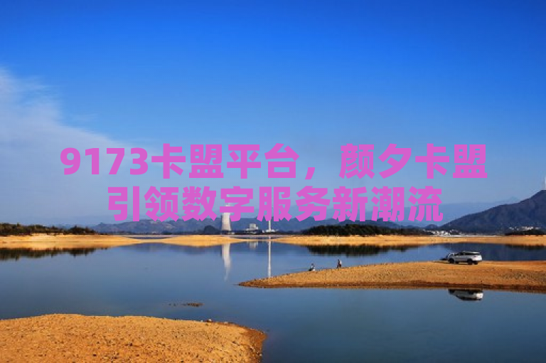 9173卡盟平台，颜夕卡盟引领数字服务新潮流