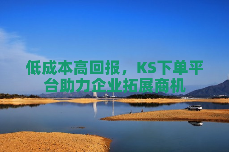 低成本高回报，KS下单平台助力企业拓展商机