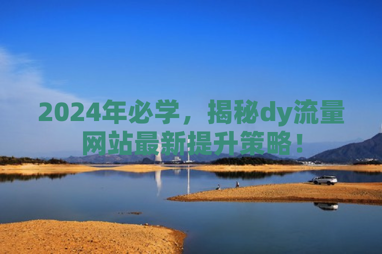 2024年必学，揭秘dy流量网站最新提升策略！