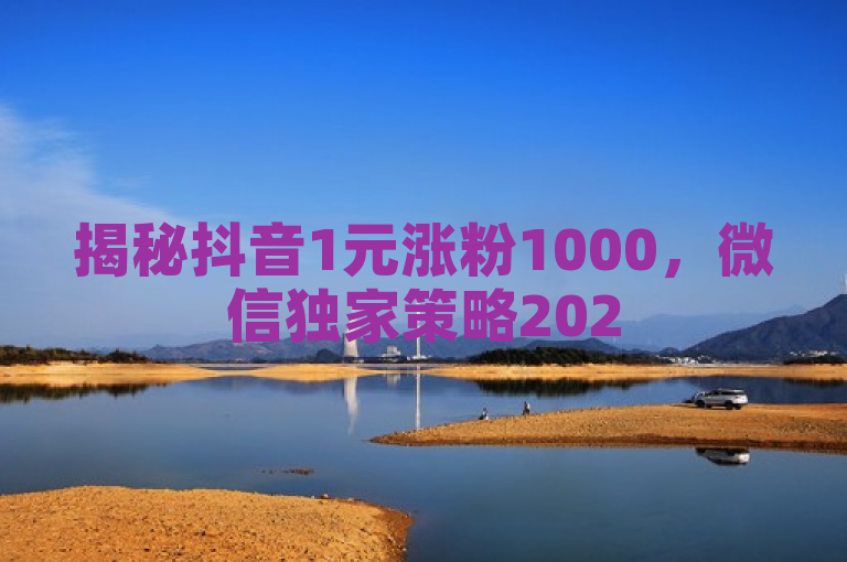 揭秘抖音1元涨粉1000，微信独家策略2025必学！