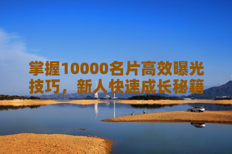 掌握10000名片高效曝光技巧，新人快速成长秘籍！